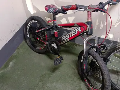 Kids/Youth Aster Red Black 20-inch Bicycle - Good Condition