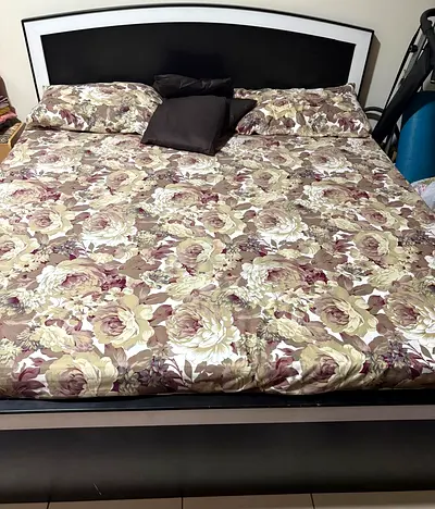Queen/Double Bed Frame with Headboard and Mattress Set