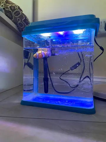 Small aquarium with free gravel