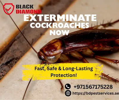 Pest Control Abu Dhabi