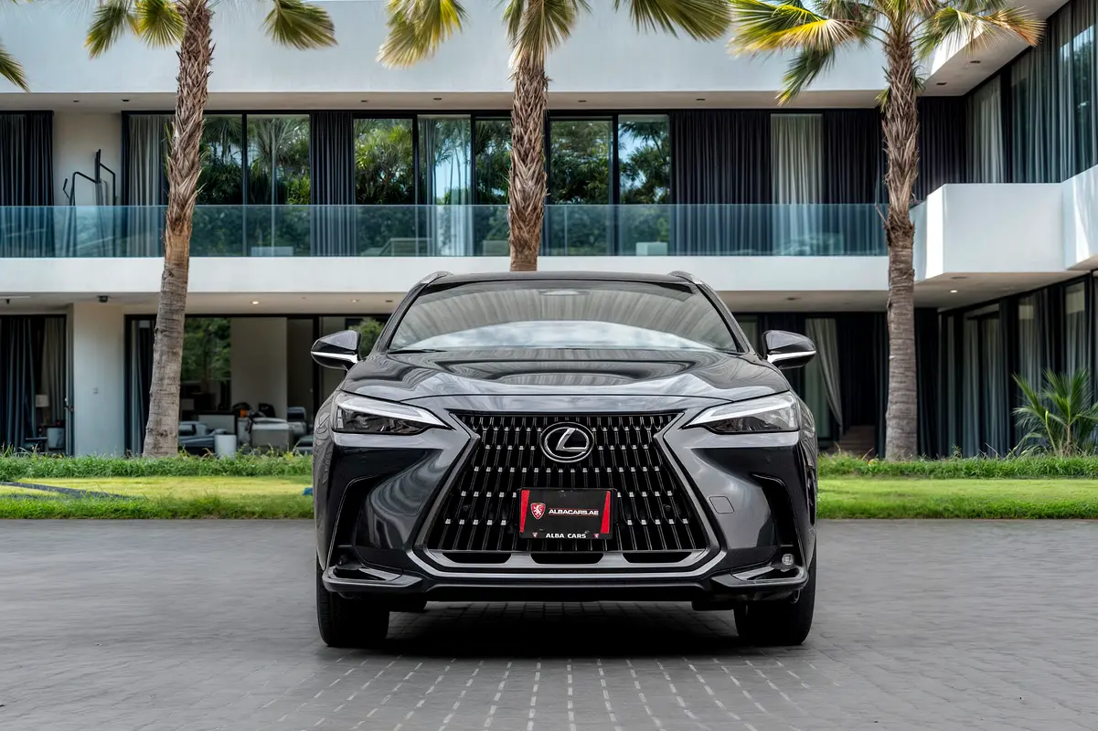 Lexus NX-Series 2025