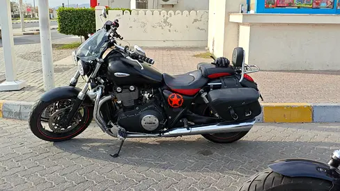 Triumph thunderbird storm