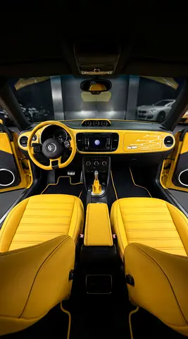 صورة 9 لـ 2015 Volkswagen BEETLE