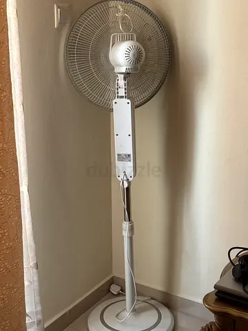 Portable fan
