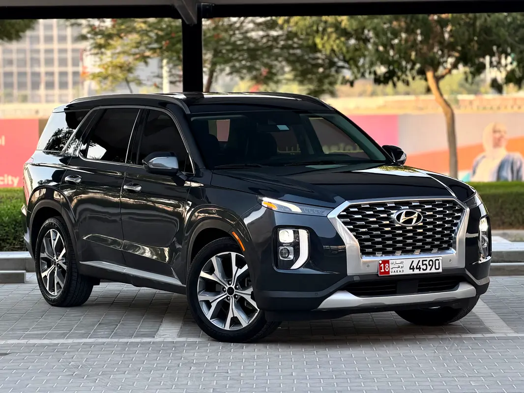 Hyundai Palisade 2020 — photo 1 of 12