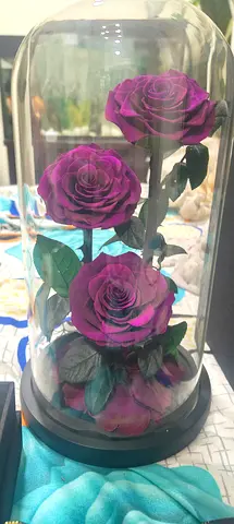 Forever rose with original box for sal