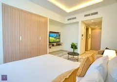 Magnificent and Elegantly Furnished Studio For Rent (Brand New)