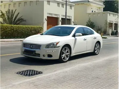 2014 Nissan MAXIMA 照片 11