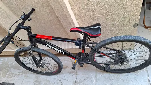Adult cycle