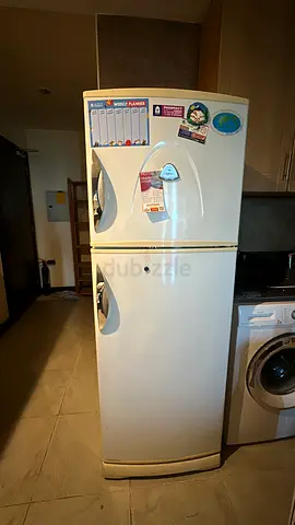 Standard Size Fridge