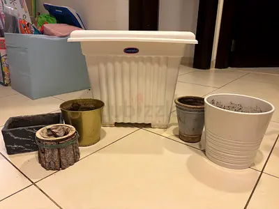 Free plant pots