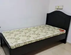VIP  Bed Space available for Executive Person with Free Car Parking