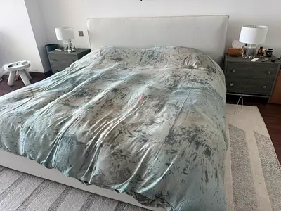 Best Available Premium King Size Crate  Barrel Bed + Serta Mattress (Bedding Included)