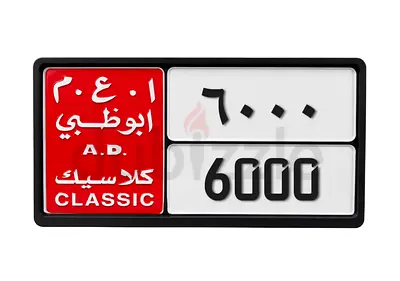 6000