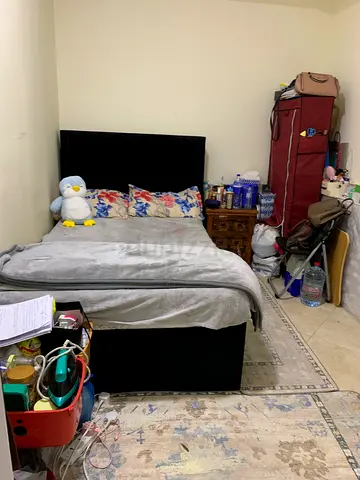 couple or girls Large Partation near DMCC metro station