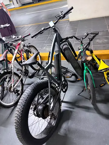 Fat tire electric bike