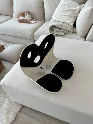 Ergonomics chair pad
