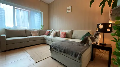 Pastel green U-shaped Sectional Sofa — Comfortable 6-seater