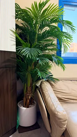Tall Artificial Areca Palm in White Planter - Good Condition