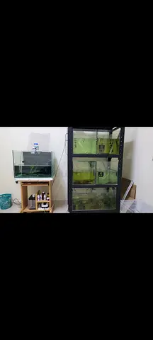 سعر جيد جدآ 6 احواض سمك مع الرف الأسوأد،معاه كل الأغراض و الملتزمات    Perfect price 6 aquariums wit