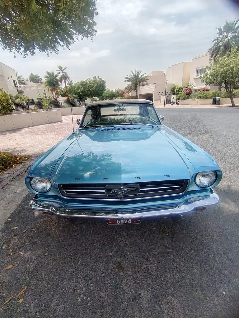 Ford Mustang 1965 — photo 1 of 7