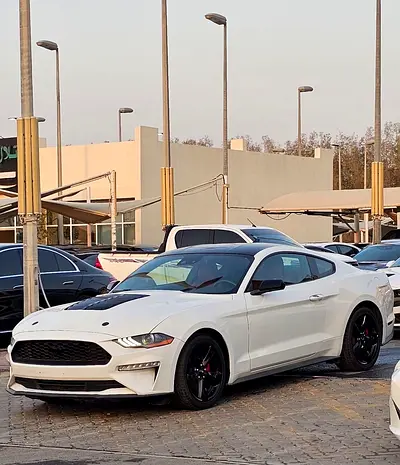 Ford Mustang Ecoboost 2023 | American Specs | Pristine Condition