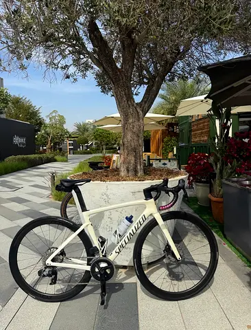 Specialized Road Bike - Full Carbon, Ready to Ride size 52 (Small)