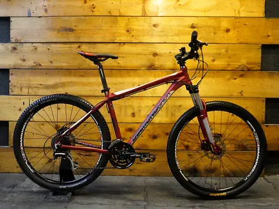 Diamondback Peak Mountain Bike