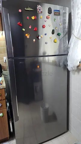 LG Stainless Steel Double Door Refrigerator