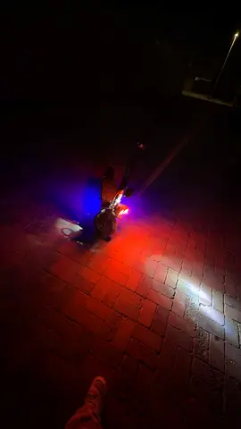 Dual motor scooter