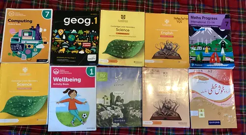 Collection of school textbooks and activity books (Primary/Secondary) - used