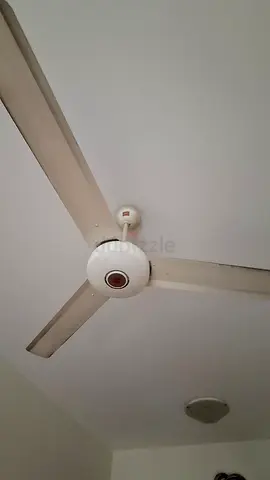 3-Blade White Ceiling Fan (Move-out sale)