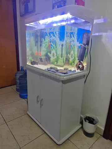 White 60-80L Corner Aquarium with Cabinet and LED Light