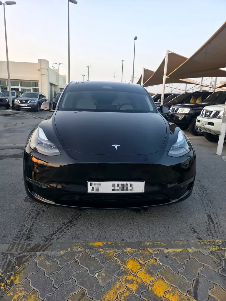 Tesla Model Y 2024 — photo 1 of 17