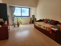 Furnished Room for Executive Girl
