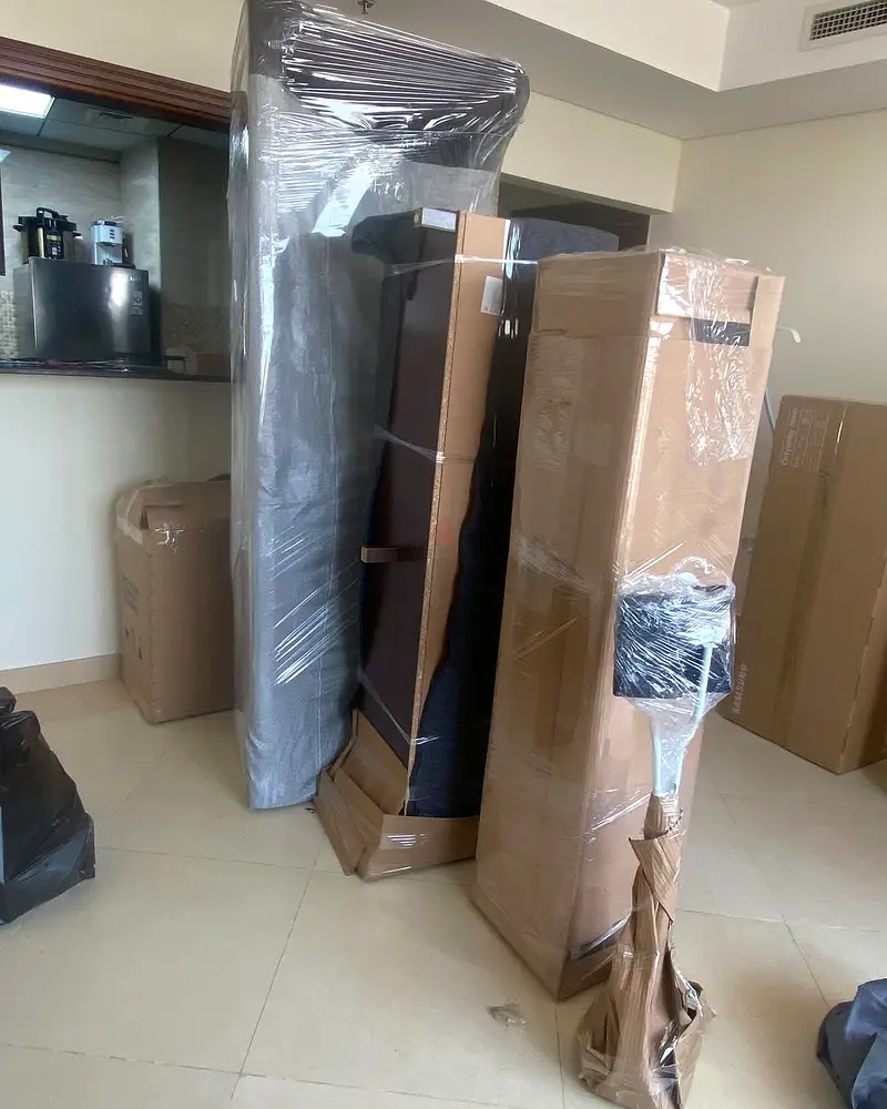DPV_View_Image_2