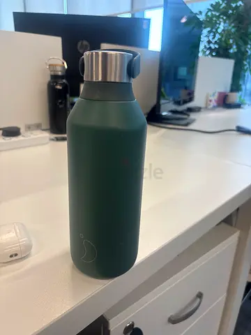 Chillys Reusable Stainless Steel Water Bottle in Pine Green