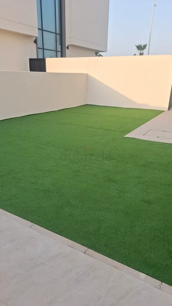 DPV_View_Image_4