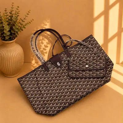 Goyard Purse for Men