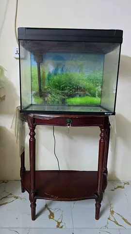 Moving sale- Fish Aquarium with full accesories at low price
