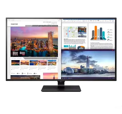 LG 43 Inch 4K UHD IPS LED Monitor (42.5 Diagonal)