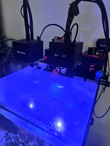 Reef Aquarium Full setup what you see is what you get