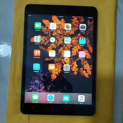 Apple iPad Mini 1 16gb