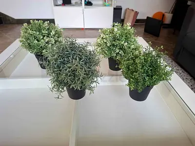 Artificial plants