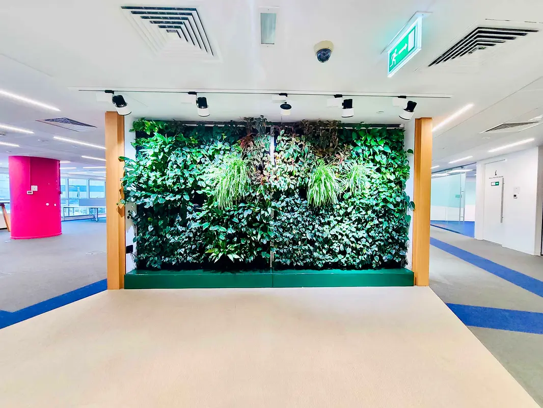 gallery-image