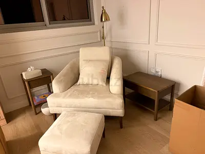 Luxury Accent / Lounge chair