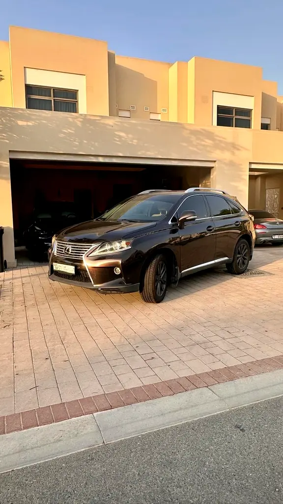 Lexus RX-Series 2013 — photo 1 of 14