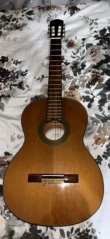 Salma handmade guitar