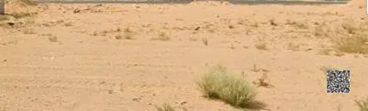 Residential Investment Land for Sale in Al Nuaimiya 2 Ajman Prime Location on Main Road Two Corners