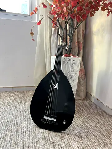 Electric oud
